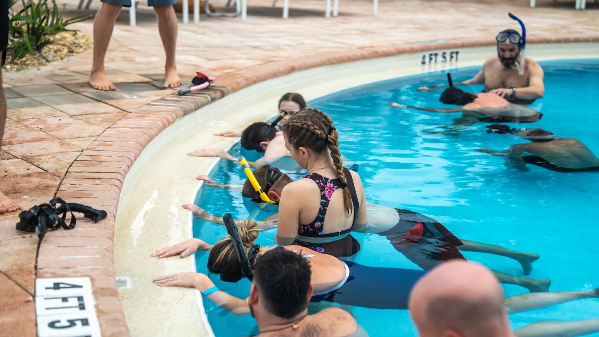 Guests practicing breath holds along the pool edge