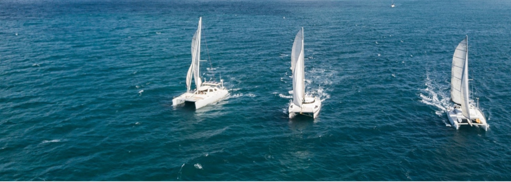 The fleet under sail off Key West